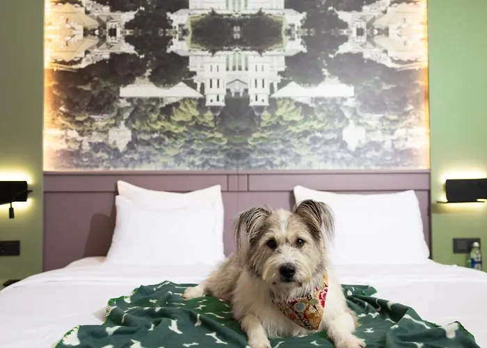 Conti Vilnius, Conference Centre, Restaurant & Bar Viešbutis 4*