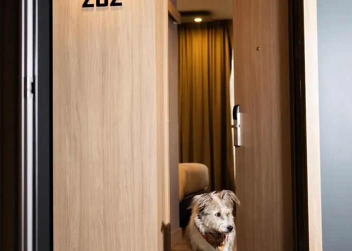 Conti Vilnius, Conference Centre, Restaurant & Bar Vilnius