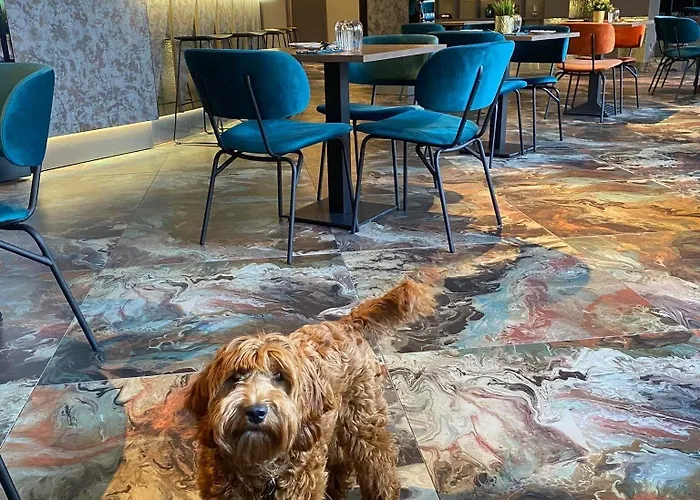 Conti Vilnius, Conference Centre, Restaurant & Bar 4* Vilnius