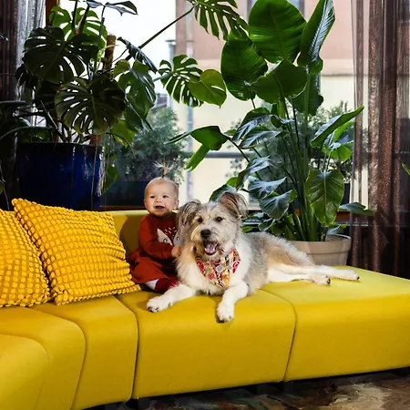 Готель Conti Vilnius, Conference Centre, Restaurant & Bar Вільнюс